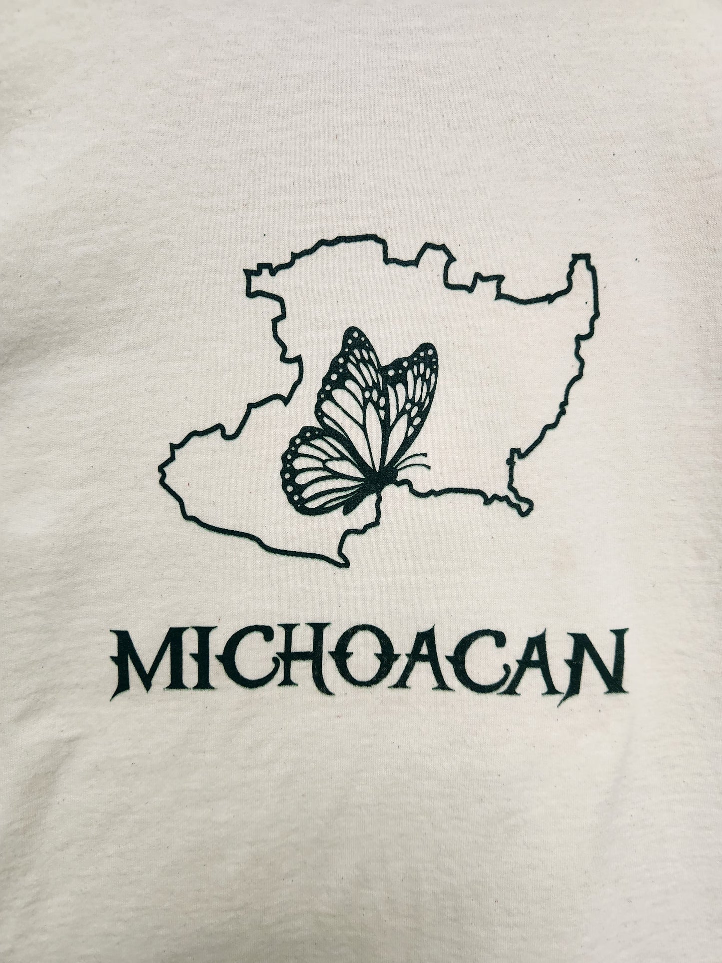 Michoacán State